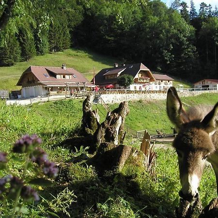 Ferienwohnung Hochsteinalm Traunkirchen Exterior photo