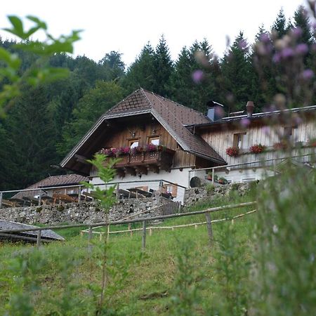 Ferienwohnung Hochsteinalm Traunkirchen Exterior photo
