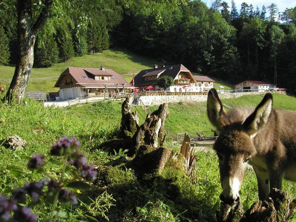 Ferienwohnung Hochsteinalm Traunkirchen Exterior photo