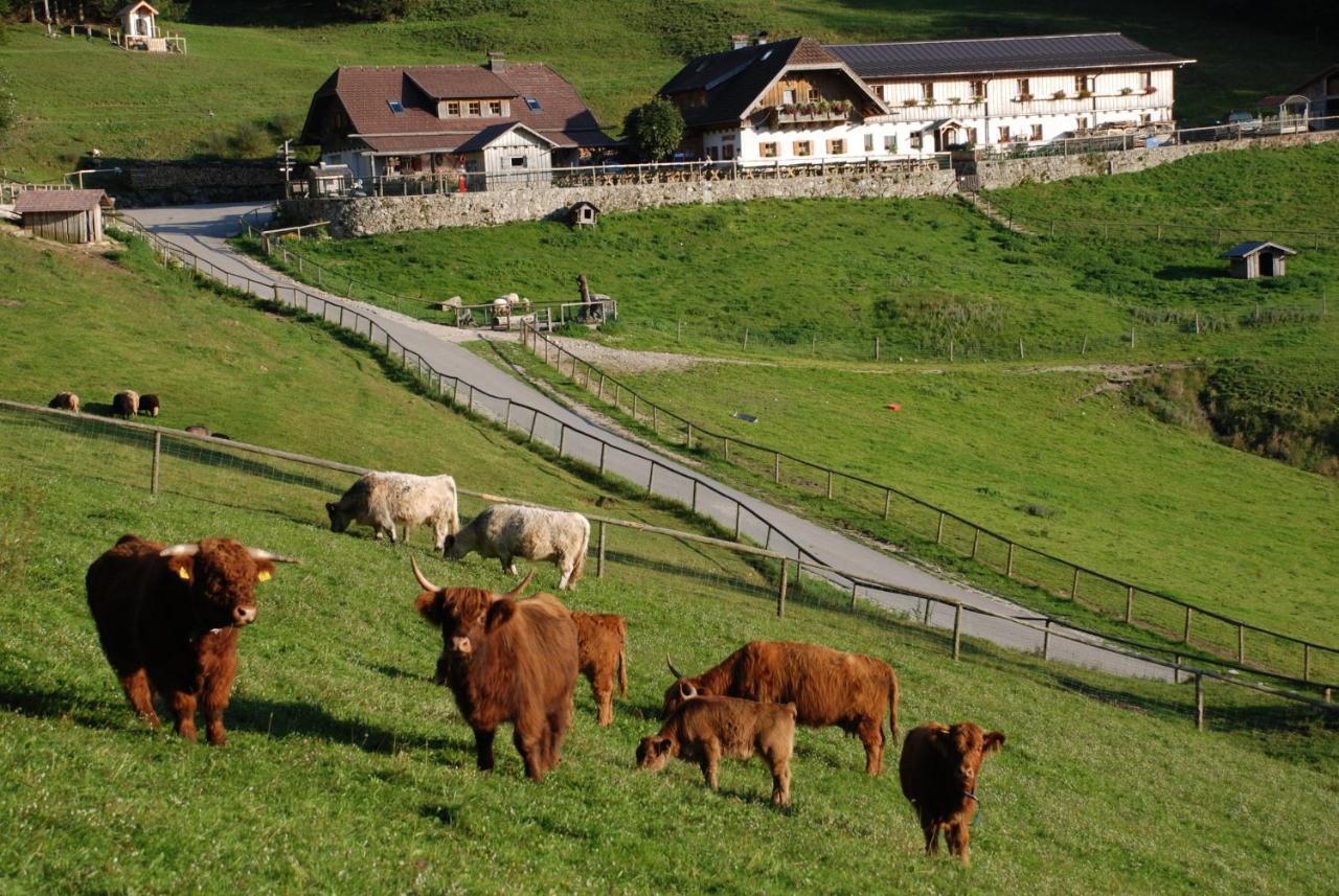 Ferienwohnung Hochsteinalm Traunkirchen Exterior photo